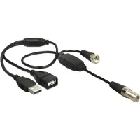 DeLOCK - Antennekabel - F-kopling hann til F-kopling, USB (kun strøm) - 35 cm - koaksial - svart