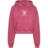 Tommy Hilfiger Dw0dw20311 Hettegenser