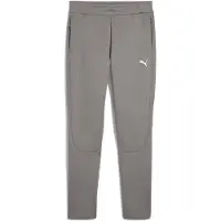 Puma EVOSTRIPE Pants Men, Clothing, Cast Iron, L