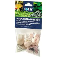 Usorteret Dohse Ass. Sneglehuse L, 5 stk. 3-7cm.