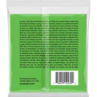 Ernie Ball Slinky 2230 Nickel Guitar 12 String 8-40