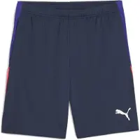Puma individualLIGA Training Shorts Men, Clothing, Club Navy, 3XL