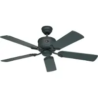 CasaFan Takvifte ECO ELEMENTS, grafitt/svart, Ø 132 cm, stillegående