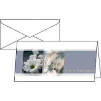 Sigel DS208, 10 stykker