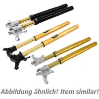 Öhlins Road&track Fgrt 219 Upside Down Yamaha Mt-10 16-20&yzf-r1/m 15-21&yzf-r6 17-21 Forgaffel