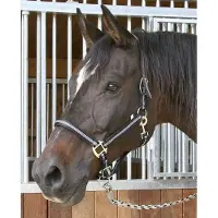 Foga Mustang Cob Halter Black/Silver