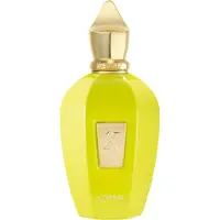 XERJOFF Amabile Eau de parfum unisex 100 ml