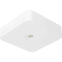 Fischer sikkerhetsarmatur EB 1/3/8h 1W IP20 SLM-D31USC (SLM-D31USC)