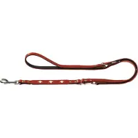 Hunter Sett: Halsbånd Swiss + Hundebånd Swiss - Halsbånd størrelse 55 + bånd 200 cm/18 mm