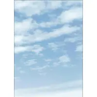 Sigel DP565, 100 ark