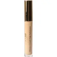 ALL I AM BEAUTY Ultimate Concealer Medium