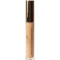 ALL I AM BEAUTY Ultimate Concealer Tan
