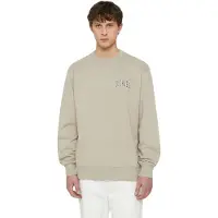 Dickies Aitkin Chest Collegegenser