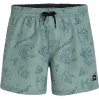 O'Neill Mix&match Cali Print 15´´ Badebukse
