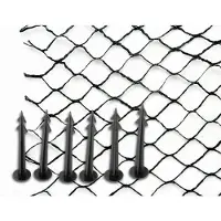 Siena Garden 22170-2-36 Damsæt 1 stk