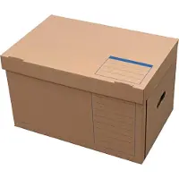 Pierre by Elba Systemcontainer tric 54.5x32.0x 36.0 cm mit Klappdeckel Packung 10, Kartong, Beige, 540 mm, 320 mm, 360 mm, 10 stykker
