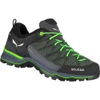 Salewa Mtn Trainer Lite Goretex Tursko