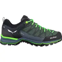 Salewa Mtn Trainer Lite Goretex Tursko