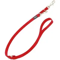 Red Dingo Fest 2 Kroker