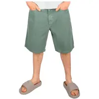 Iriedaily Nanolo Shorts grønn