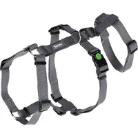 Kerbl Miami Hundesele