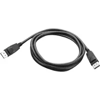 Lenovo Displayport-video M/m Kabel 1.8 M