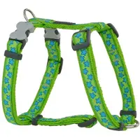 Red Dingo Style Star Hundesele