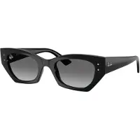 Ray-Ban Zena Black Solbriller svart