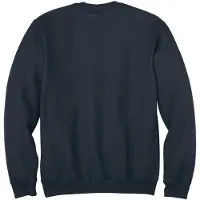 Carhartt K124 Loose Fit Collegegenser