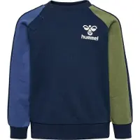 Hummel Assym Collegegenser