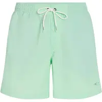 O'Neill Vert 16'' Boardshorts grønn