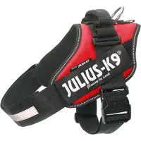 Julius-K9 IDC-K9 IDC-Powersele - rød - Størrrelse 2XL: brystomkrets 82 - 115 cm