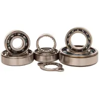 Hotrods Suzuki Lt-r 450 06-09 Styrelagersett