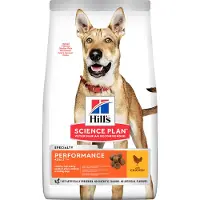 Hill's Pet Nutrition Økonomipakke: 2 x storsekker Hill's Canine - Performance Medium Chicken (2 x 14 kg)