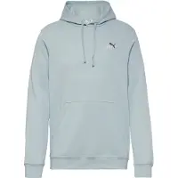 Puma Essentials 2 Colour Small No. 1 Logo Hoodie Men, Clothing, Modern Mint, L