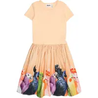 Molo Kjole - Rib - Cissa - Rainbow Parrots m. Trykk - - 11-12 år (146-152) - Kjole