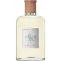 Ralph Lauren Polo Earth Antilles Vetiver Eau de Toilette 100 ml