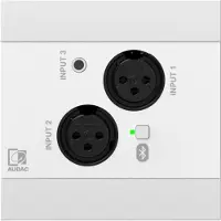 Audac Veggboks NWP320/W, 2x XLR + 3,5 mm jack