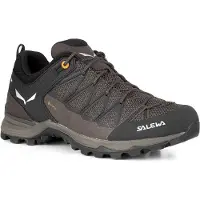 Salewa Mtn Trainer Lite Goretex Tilnærmingssko
