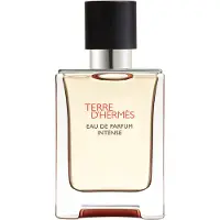 Hermès Paris Hermes Terre D'Hermes Parfum Intense Eau De Parfum Vaporisateur 50 Ml