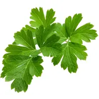 EMSA Smart Garden Refill 3-pack - Kruspersille