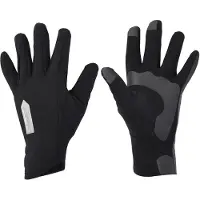 Q36.5 Winter Hansker