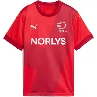 Puma Danish Handball Federation 2025 Home Jersey Youth, Clothing, Red/Dark Cherry, 13-14Y