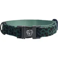 Kentucky Leopard Green Hundehalsbånd