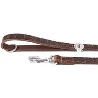 My Family Tucson Hundebånd