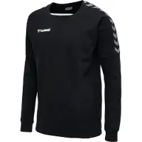 Hummel Authentic Training Collegegenser
