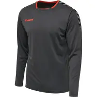 Hummel Authentic Poly Langarmet T-skjorte
