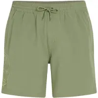 O'Neill O'Riginals Cali Ocean 16'' Boardshorts grønn