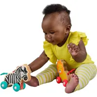 Fisher-Price Wooden Push Along Animals, lekebiler formet som løve og sebra til babyer som krabber og leker, 0,5 år, Tre, Flerfarget
