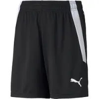 Puma teamLIGA Football Shorts Youth, Clothing, Black/White, 13-14Y